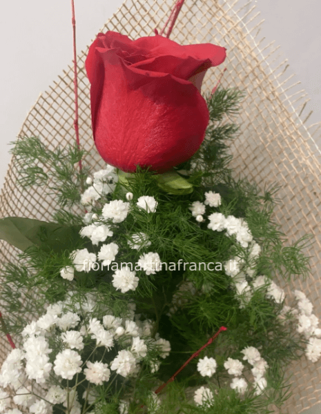 Rosa rossa singola extra, confezionata