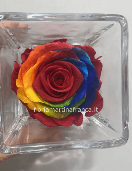 Flower Design Aversa - Rosa stabilizzata in campana di vetro 🥀 Disponibile  in vari colori Spedizioni in tutta Italia entro 48h 📦 con pagamento anche  alla consegna Info Facebook o whatsapp 3664623857 📞