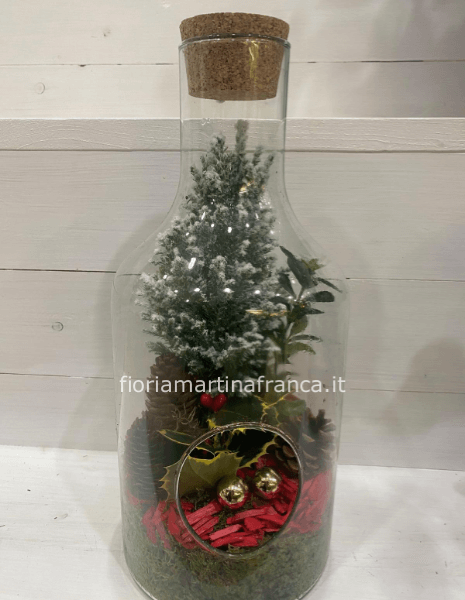 Composizione piante in vetro