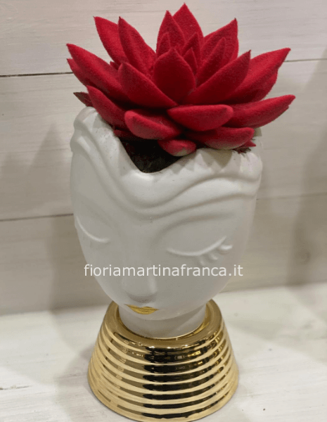 Pianta vera vellutata con vaso statua