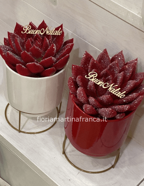 Pianta vera glitterata con vaso ceramica.