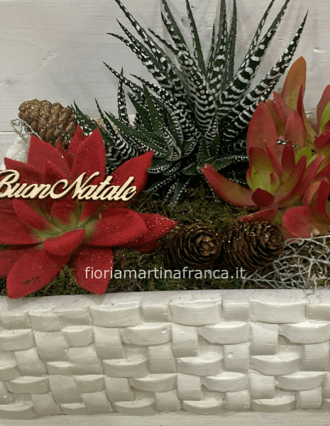 Compos. piante grasse con vaso ceramica