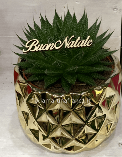 Pianta succulenta in vaso ceramica color oro