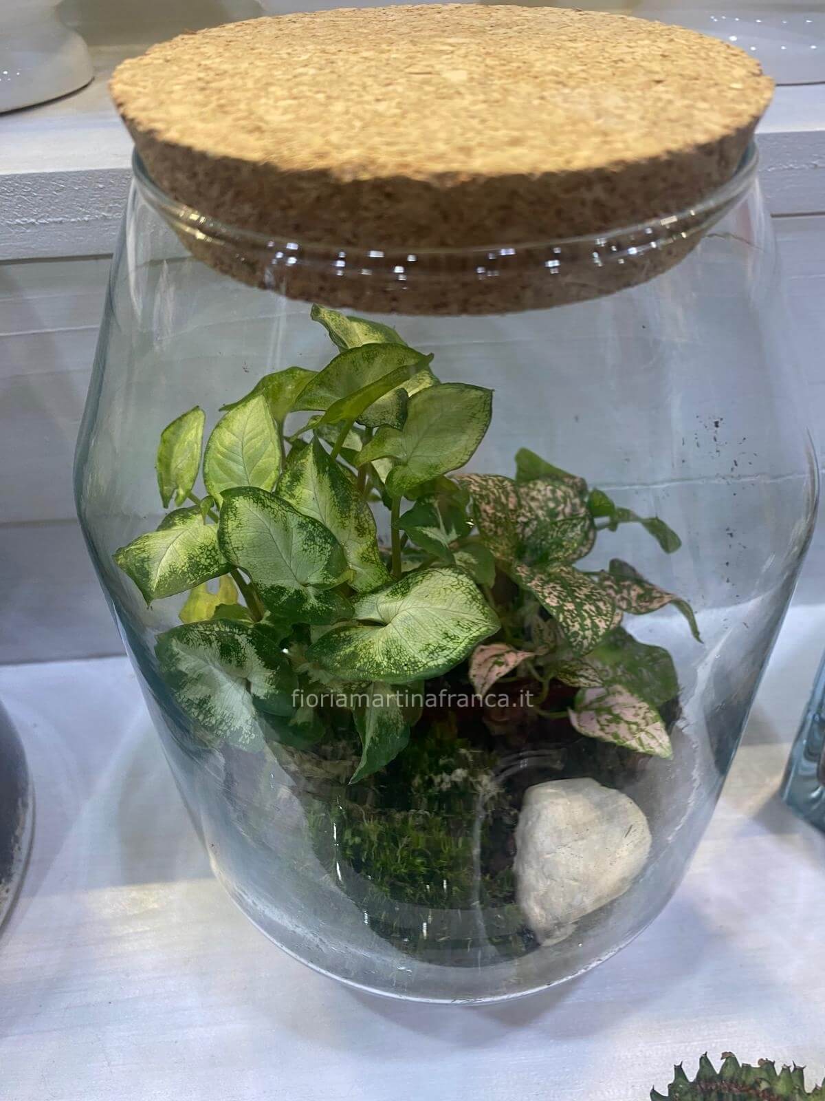 Muse Garden Mangeoire pour colibri pour extérieur, verre soufflé à la main, 708,7 g, contenant des fourmis, de la mouche, de la nuit étoilée Muse Garden Mangeoire pour colibri pour extérieur, verre soufflé à la main, 708,7 g, contenant des fourmis, de la mouche, de la nuit étoilée